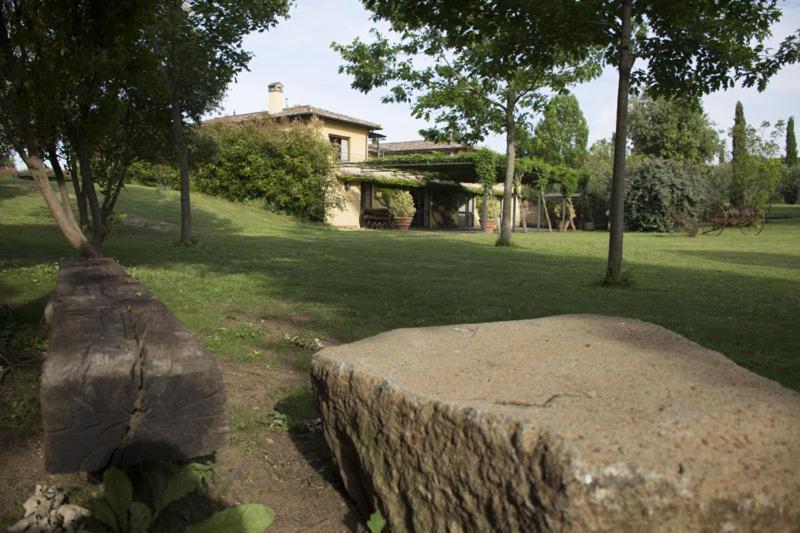 Agriturismo Scuderie Della Contea Сутрі Екстер'єр фото