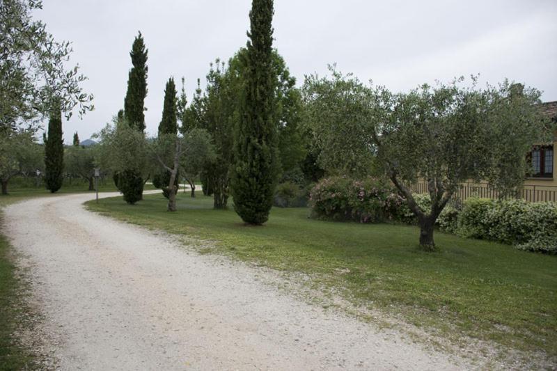 Agriturismo Scuderie Della Contea Сутрі Екстер'єр фото