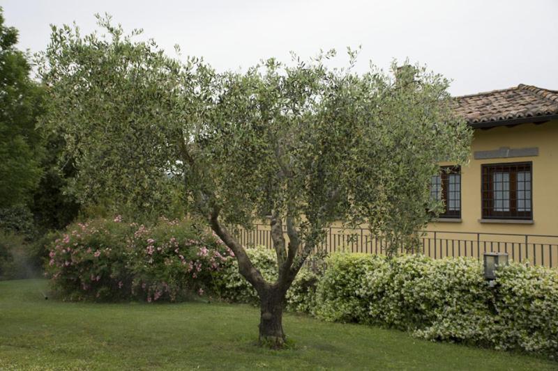 Agriturismo Scuderie Della Contea Сутрі Екстер'єр фото