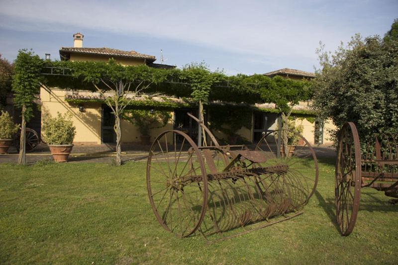 Agriturismo Scuderie Della Contea Сутрі Екстер'єр фото